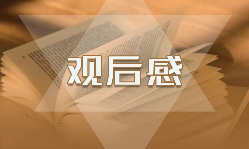 广东开学第一课2024年观后感心得体会